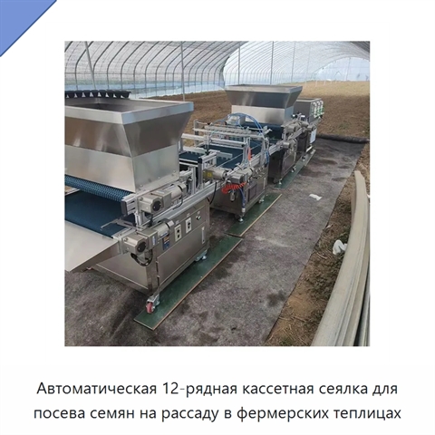Автоматическая 12-рядная кассетная сеялка для посева семян на рассаду в фермерских теплицах