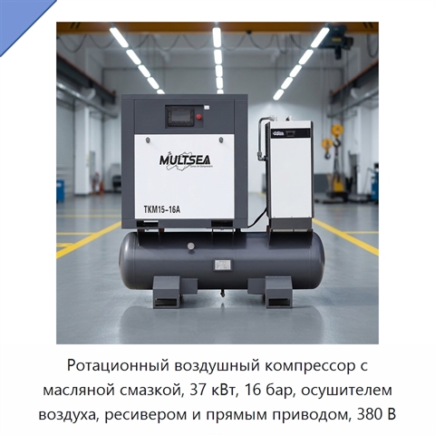 Ротационный воздушный компрессор с масляной смазкой, 37 кВт, 16 бар, осушителем воздуха, ресивером и прямым приводом, 380 В
