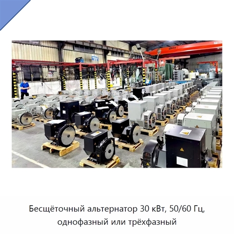Бесщёточный альтернатор 30 кВт, 50/60 Гц, однофазный или трёхфазный