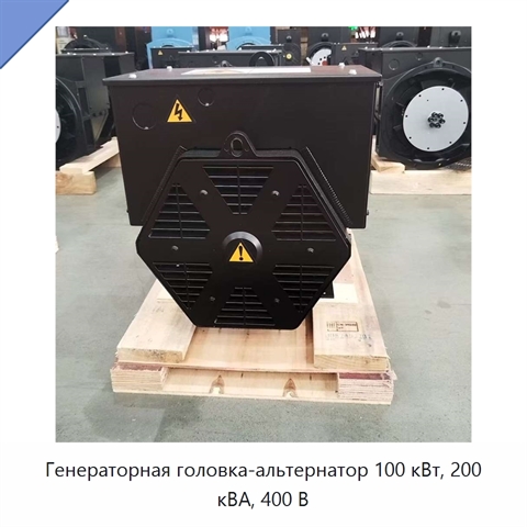 Генераторная головка-альтернатор 100 кВт, 200 кВА, 400 В