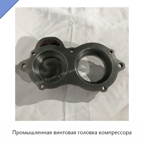 Промышленная винтовая головка компрессора