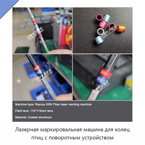 Лазерная маркировальная машина для колец птиц с поворотным устройством