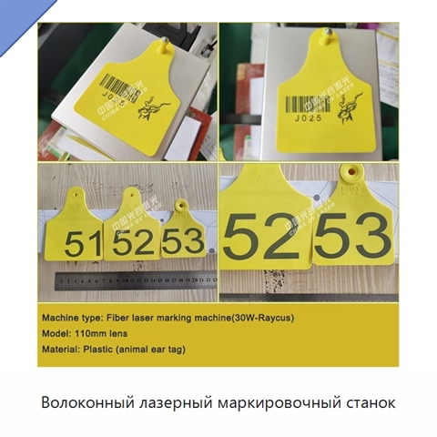 Волоконный лазерный маркировочный станок