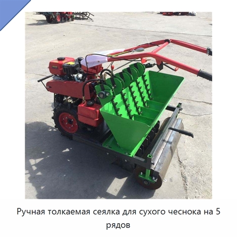 Ручная толкаемая сеялка для сухого чеснока на 5 рядов