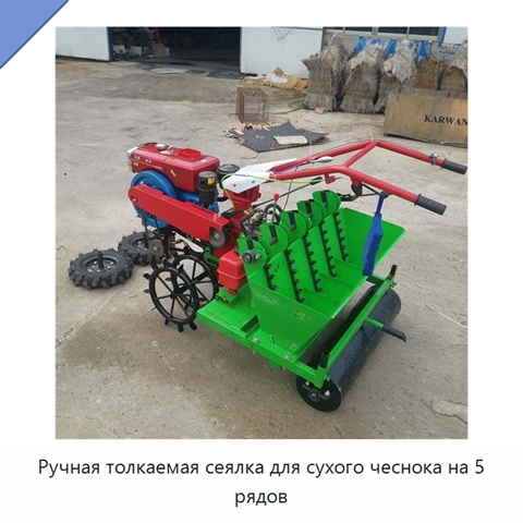 Ручная толкаемая сеялка для сухого чеснока на 5 рядов