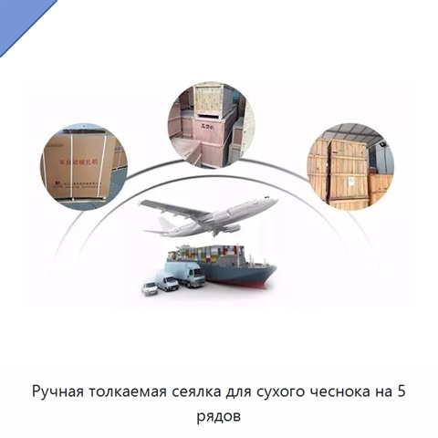 Ручная толкаемая сеялка для сухого чеснока на 5 рядов