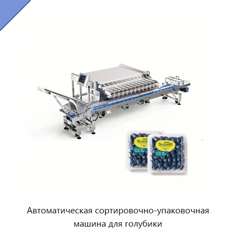 Автоматическая сортировочно-упаковочная машина для голубики