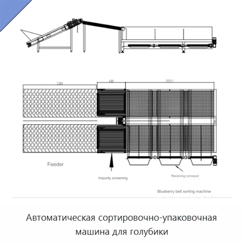 Автоматическая сортировочно-упаковочная машина для голубики