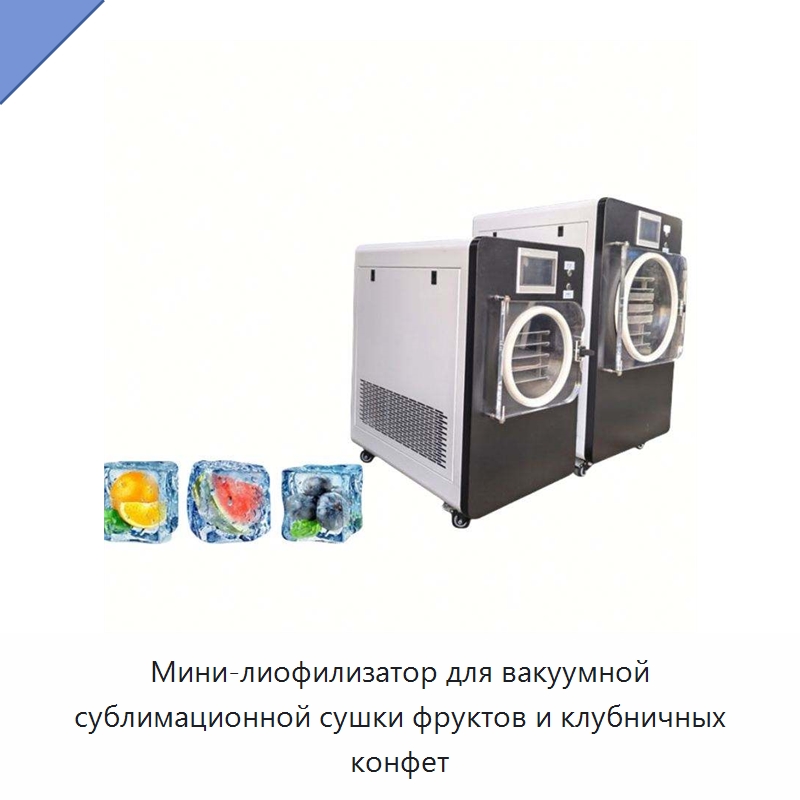 Мини-лиофилизатор для вакуумной сублимационной сушки фруктов и клубничных конфет — Сушильное оборудование