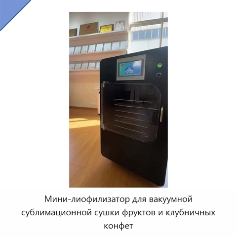 Мини-лиофилизатор для вакуумной сублимационной сушки фруктов и клубничных конфет
