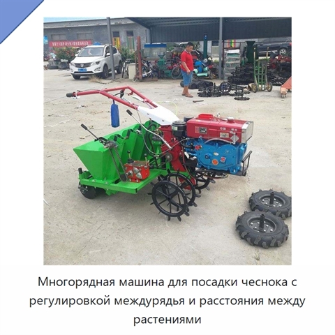Многорядная машина для посадки чеснока с регулировкой междурядья и расстояния между растениями