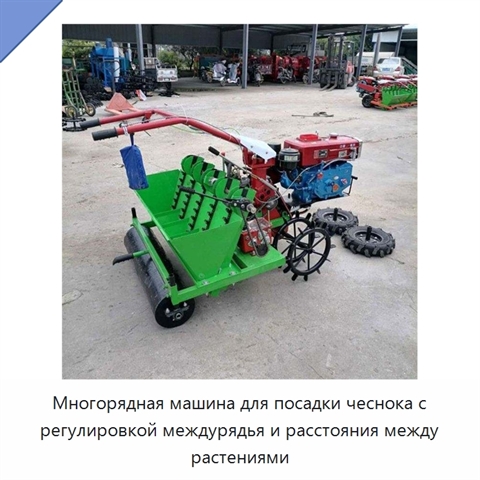 Многорядная машина для посадки чеснока с регулировкой междурядья и расстояния между растениями