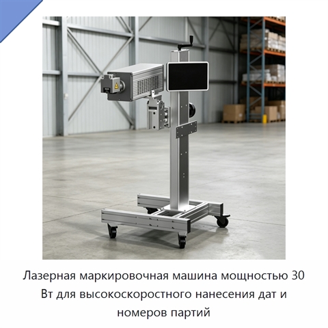 Лазерная маркировочная машина мощностью 30 Вт для высокоскоростного нанесения дат и номеров партий