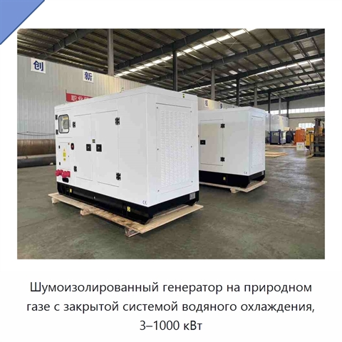 Шумоизолированный генератор на природном газе с закрытой системой водяного охлаждения, 3–1000 кВт