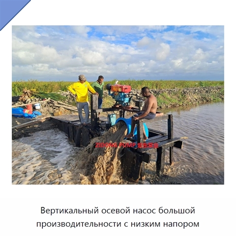 Вертикальный осевой насос большой производительности с низким напором