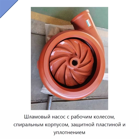 Шламовый насос с рабочим колесом, спиральным корпусом, защитной пластиной и уплотнением