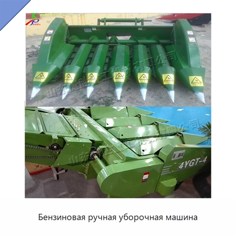 Бензиновая ручная уборочная машина