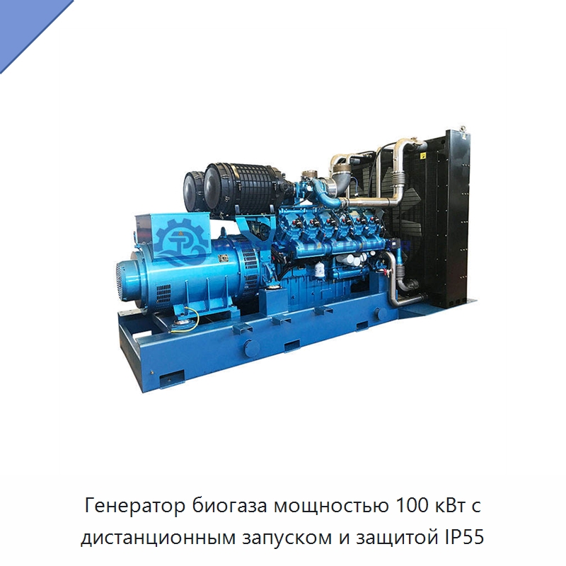 Генератор биогаза мощностью 100 кВт с дистанционным запуском и защитой IP55 — Газотурбинные генераторы