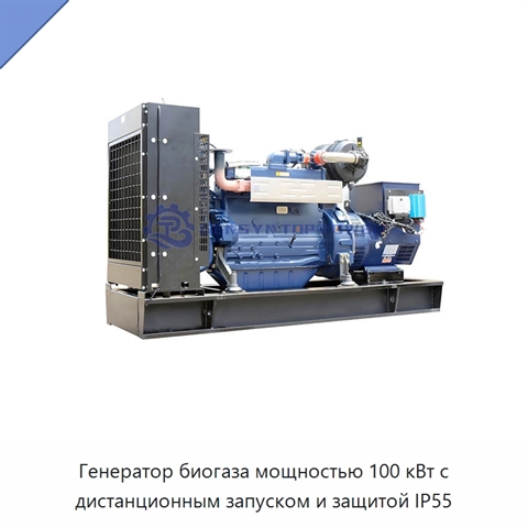 Генератор биогаза мощностью 100 кВт с дистанционным запуском и защитой IP55