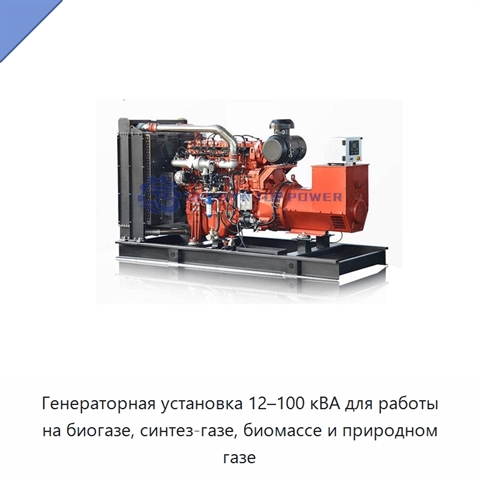 Генераторная установка 12–100 кВА для работы на биогазе, синтез-газе, биомассе и природном газе