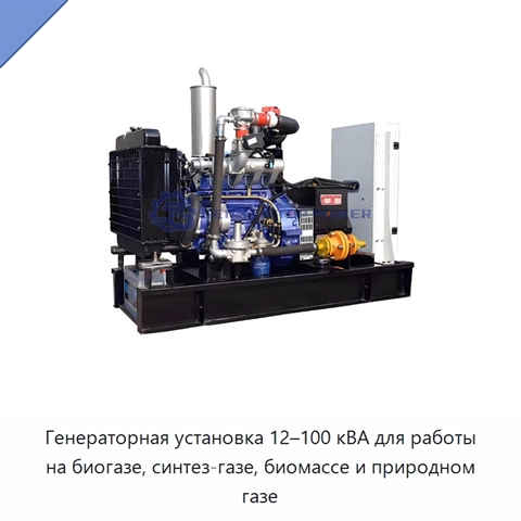 Генераторная установка 12–100 кВА для работы на биогазе, синтез-газе, биомассе и природном газе