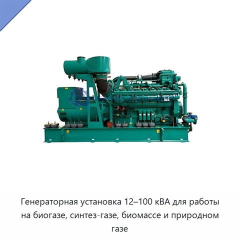Генераторная установка 12–100 кВА для работы на биогазе, синтез-газе, биомассе и природном газе