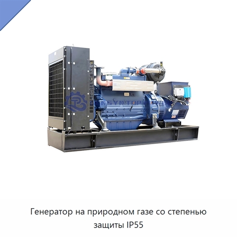 Генератор на природном газе со степенью защиты IP55