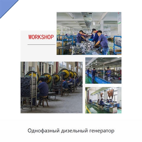 Однофазный дизельный генератор