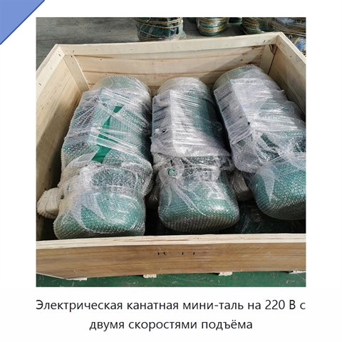 Электрическая канатная мини-таль на 220 В с двумя скоростями подъёма