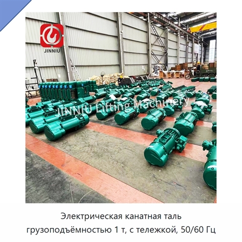 Электрическая канатная таль грузоподъёмностью 1 т, с тележкой, 50/60 Гц