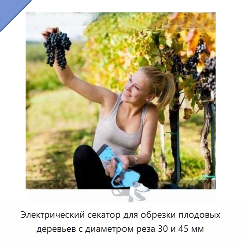 Электрический секатор для обрезки плодовых деревьев с диаметром реза 30 и 45 мм