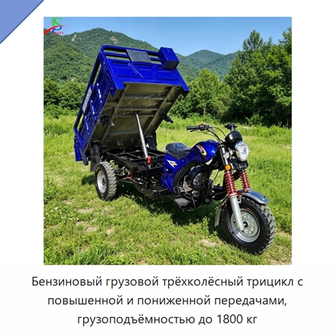 Бензиновый грузовой трёхколёсный трицикл с повышенной и пониженной передачами, грузоподъёмностью до 1800 кг
