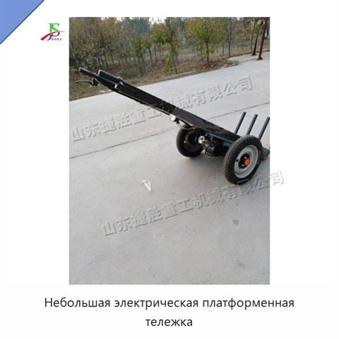 Небольшая электрическая платформенная тележка