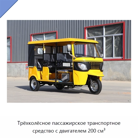 Трёхколёсное пассажирское транспортное средство с двигателем 200 см³