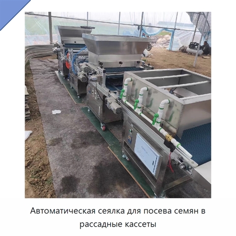 Автоматическая сеялка для посева семян в рассадные кассеты
