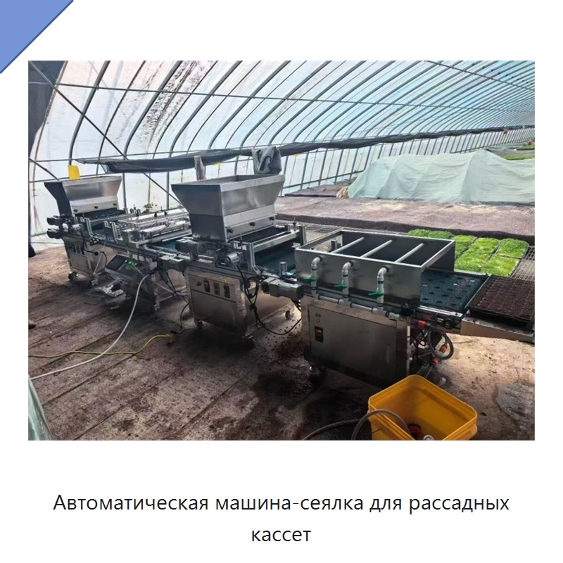 Автоматическая машина-сеялка для рассадных кассет — Сеялки и рассадопосадочные машины