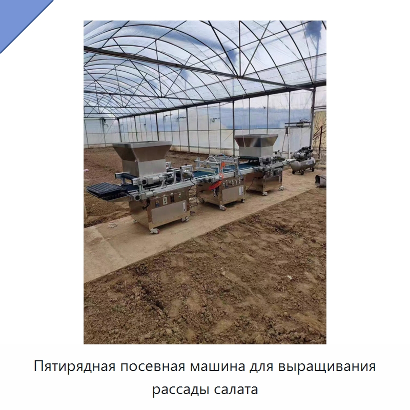 Пятирядная посевная машина для выращивания рассады салата — Сеялки и рассадопосадочные машины