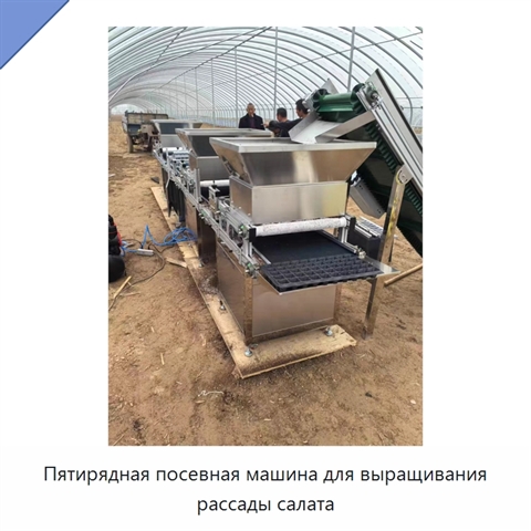 Пятирядная посевная машина для выращивания рассады салата