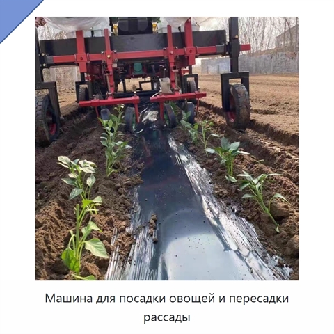 Машина для посадки овощей и пересадки рассады