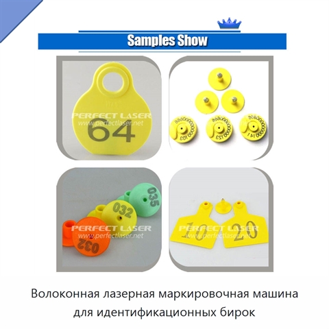 Волоконная лазерная маркировочная машина для идентификационных бирок
