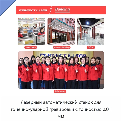 Лазерный автоматический станок для точечно-ударной гравировки с точностью 0,01 мм