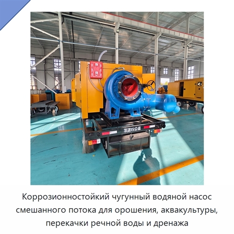 Коррозионностойкий чугунный водяной насос смешанного потока для орошения, аквакультуры, перекачки речной воды и дренажа
