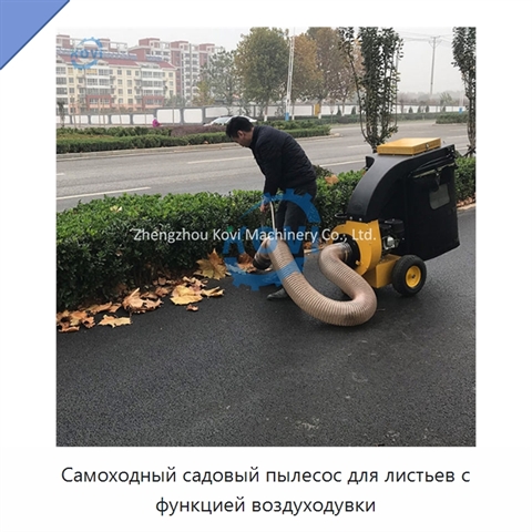 Самоходный садовый пылесос для листьев с функцией воздуходувки