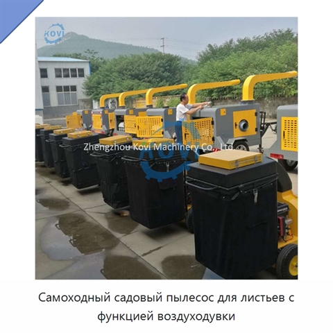 Самоходный садовый пылесос для листьев с функцией воздуходувки