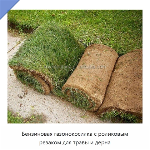 Бензиновая газонокосилка с роликовым резаком для травы и дерна