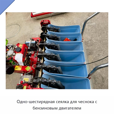 Одно-шестирядная сеялка для чеснока с бензиновым двигателем