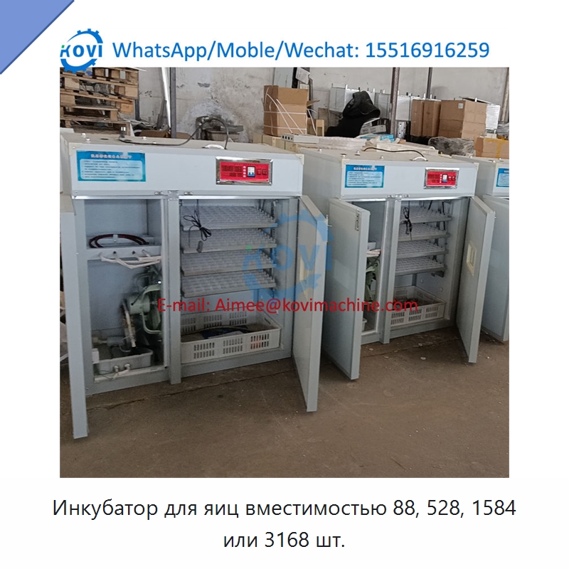 Инкубатор для яиц вместимостью 88, 528, 1584 или 3168 шт.