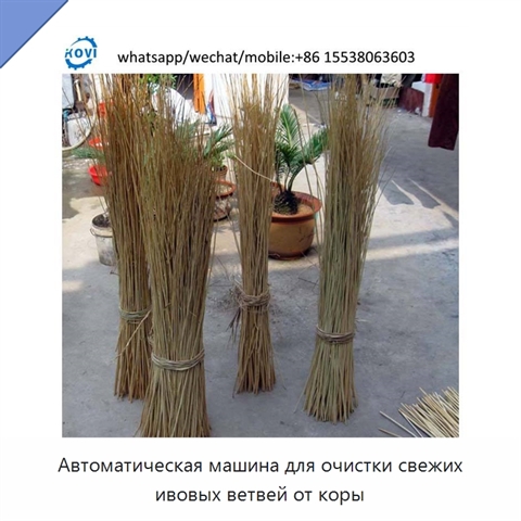 Автоматическая машина для очистки свежих ивовых ветвей от коры
