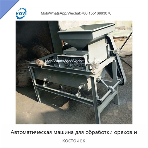 Автоматическая машина для обработки орехов и косточек