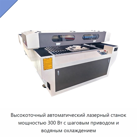 Высокоточный автоматический лазерный станок мощностью 300 Вт с шаговым приводом и водяным охлаждением